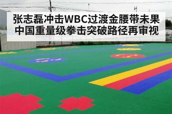 张志磊冲击WBC过渡金腰带未果 中国重量级拳击突破路径再审视